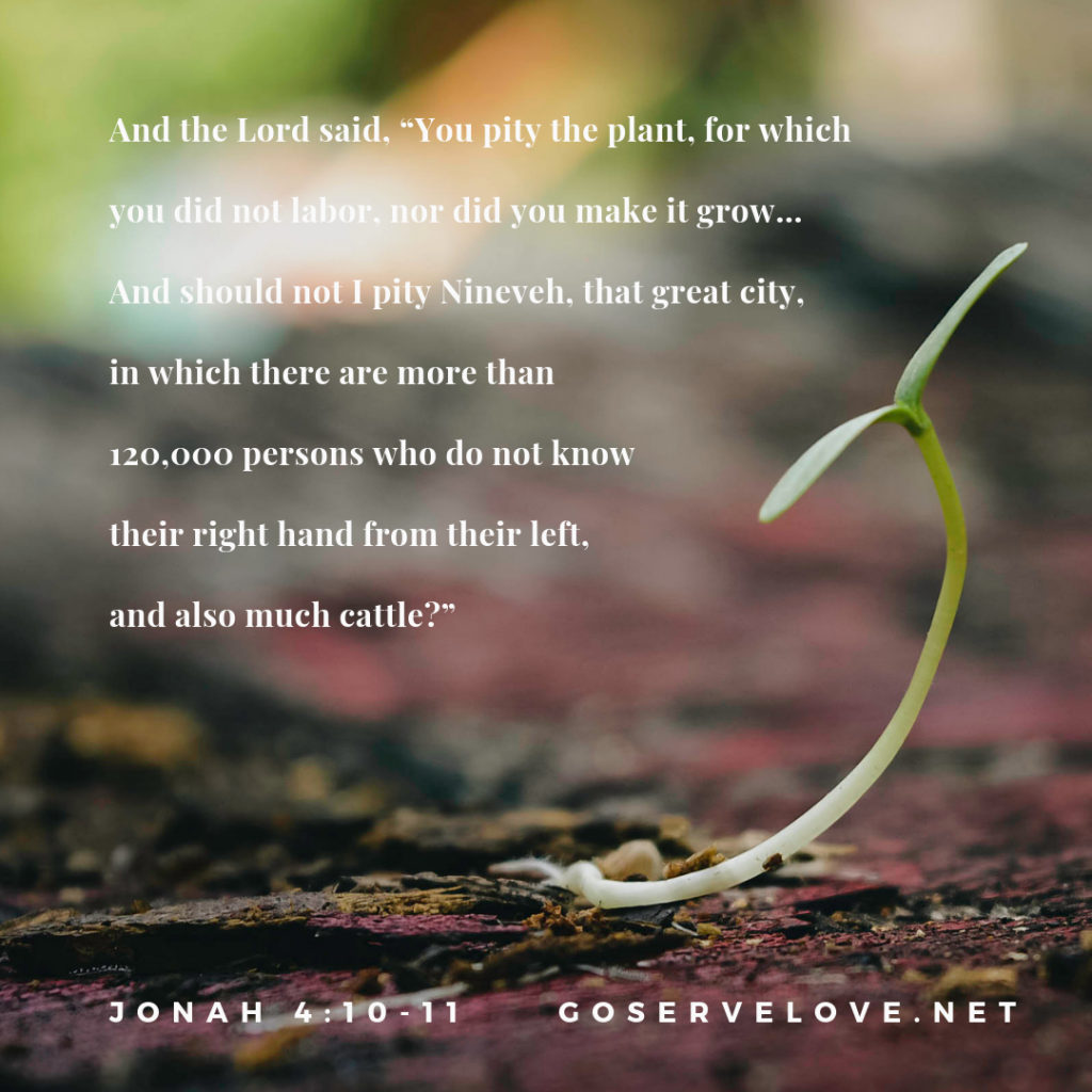 Jonah